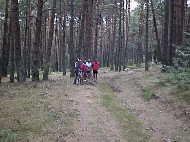 caminopaular.jpg (71871 bytes)